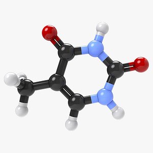 Thymine