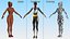 Dark Skin Fitness Woman Rigged for Cinema 4D