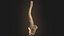 Coluna vertebral anatomia da coluna vertebral