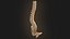 Coluna vertebral anatomia da coluna vertebral