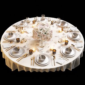 table setting 11 model