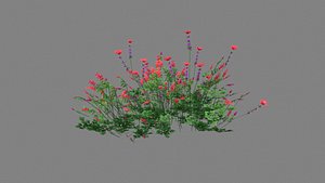 Cartoon lavender bushes - purple flowers 3D
