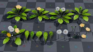 Dandelion 3d Model Asset Pack 3D model