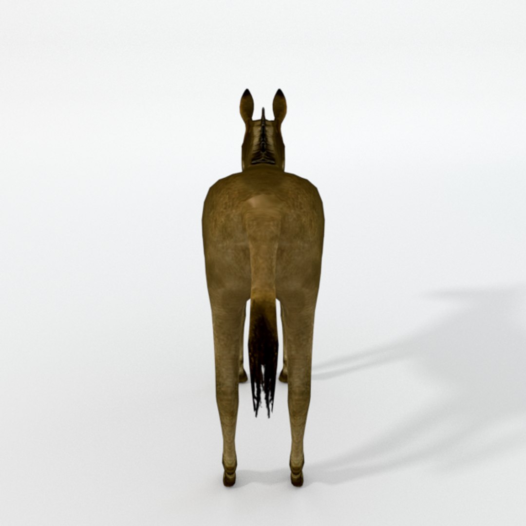 Brown Donkey Model - TurboSquid 1323491