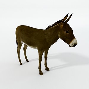 brown donkey model