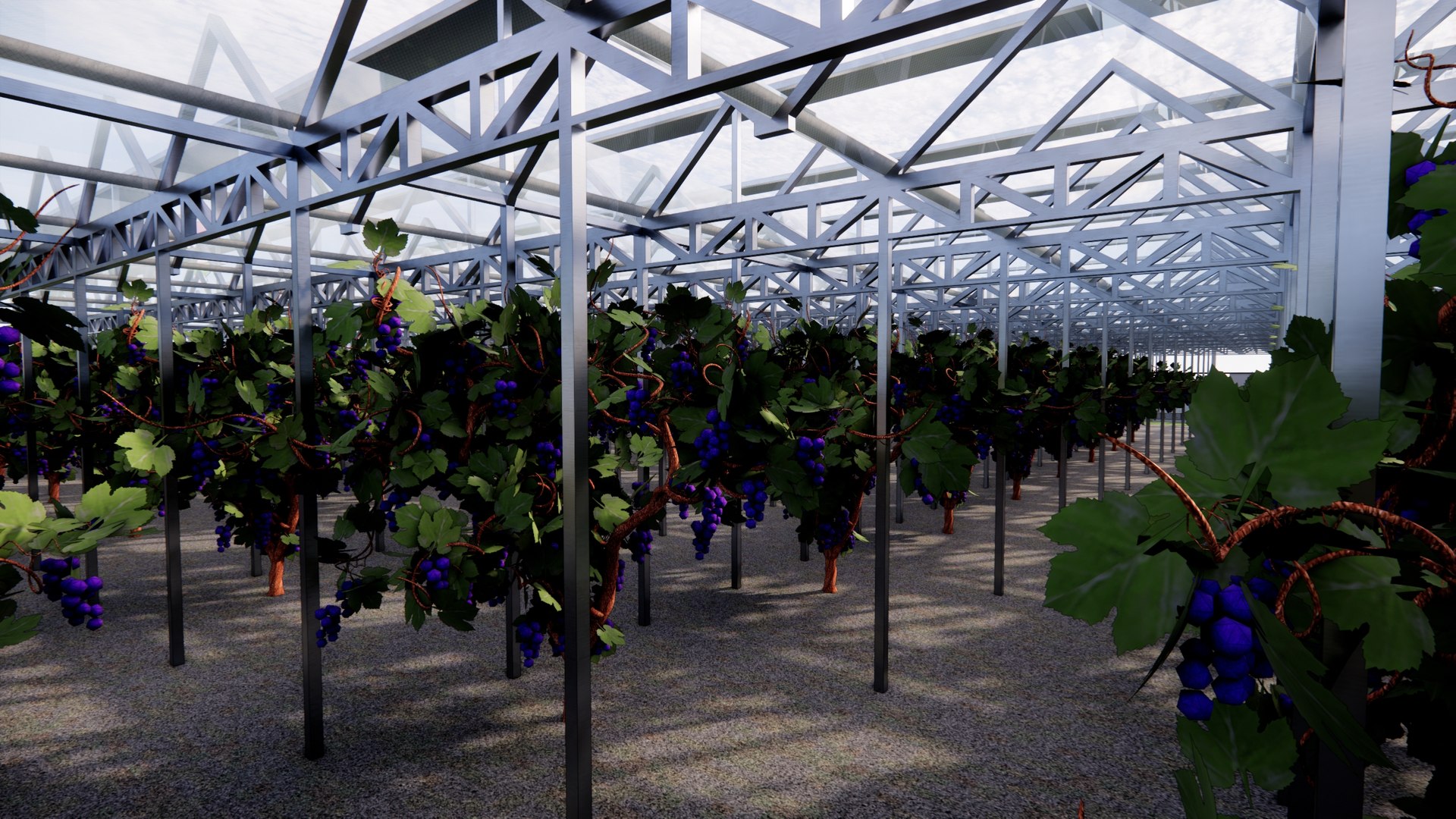 Agricultural Greenhouse Tent Frame -B6 3D https://p.turbosquid.com/ts-thumb/1k/6RYhNv/Mj/enscape_20250825153739/jpg/1760605147/1920x1080/fit_q87/9ad49ce5f48f6a2897a960fa11afa181f7793517/enscape_20250825153739.jpg