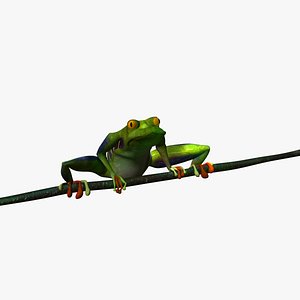 3d tree frog animations