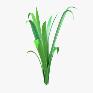 3D model Cartoon Long Grass 04