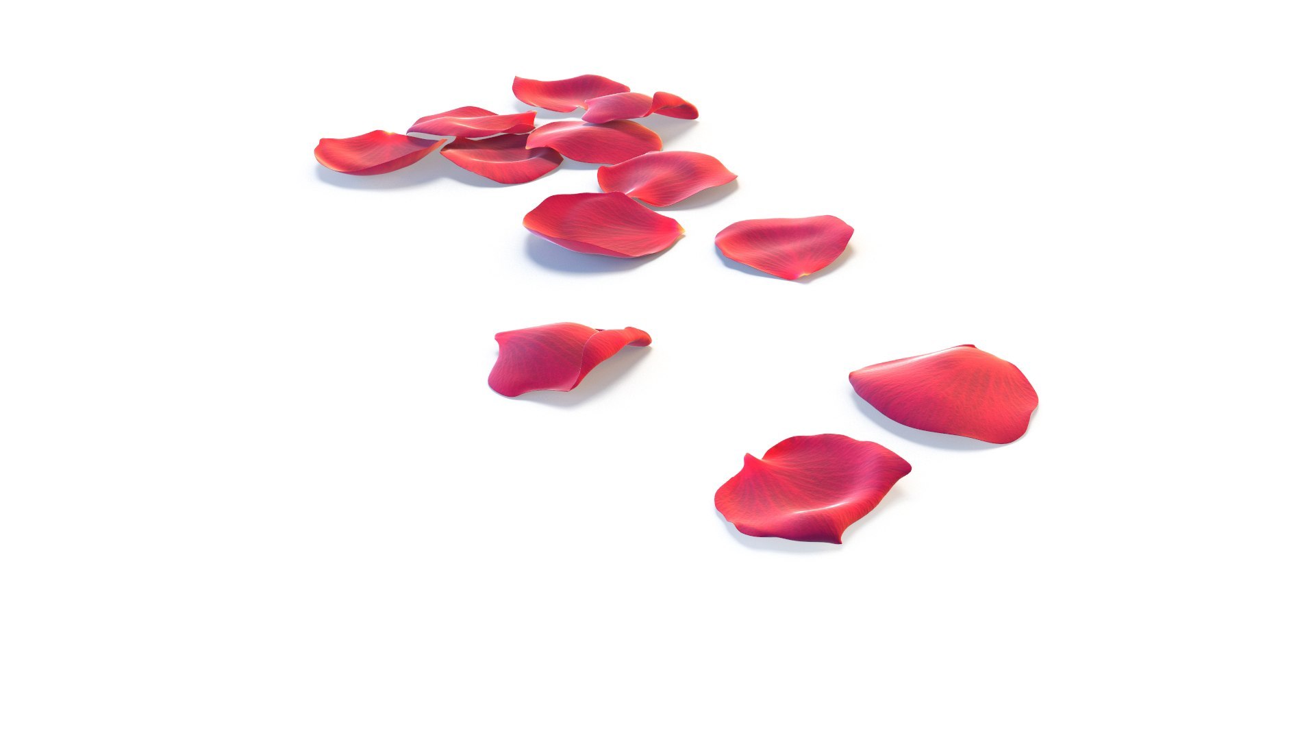 3D model Realistic Rose Petals 3D Models - High-Quality 4K PBR Asset https://p.turbosquid.com/ts-thumb/1k/H43tlh/2u/61/jpg/1755629360/1920x1080/fit_q87/7fcc1fc498a0c4131c50e3d46740c1c2e786fd3b/61.jpg