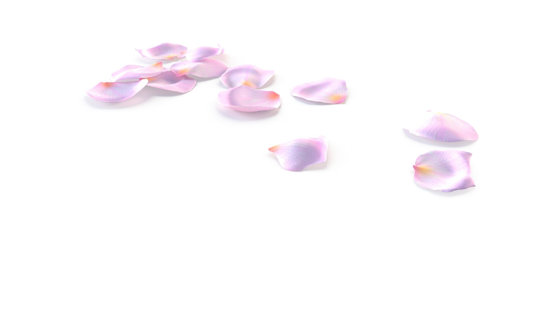 3D model Realistic Rose Petals 3D Models - High-Quality 4K PBR Asset https://p.turbosquid.com/ts-thumb/1k/H43tlh/9A/4/jpg/1755629383/1920x1080/fit_q87/67d49f641e67efa717229469349d37e70d7bd7f2/4.jpg