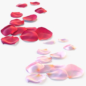 Realistic Rose Petals 3D Models - High-Quality 4K PBR Asset