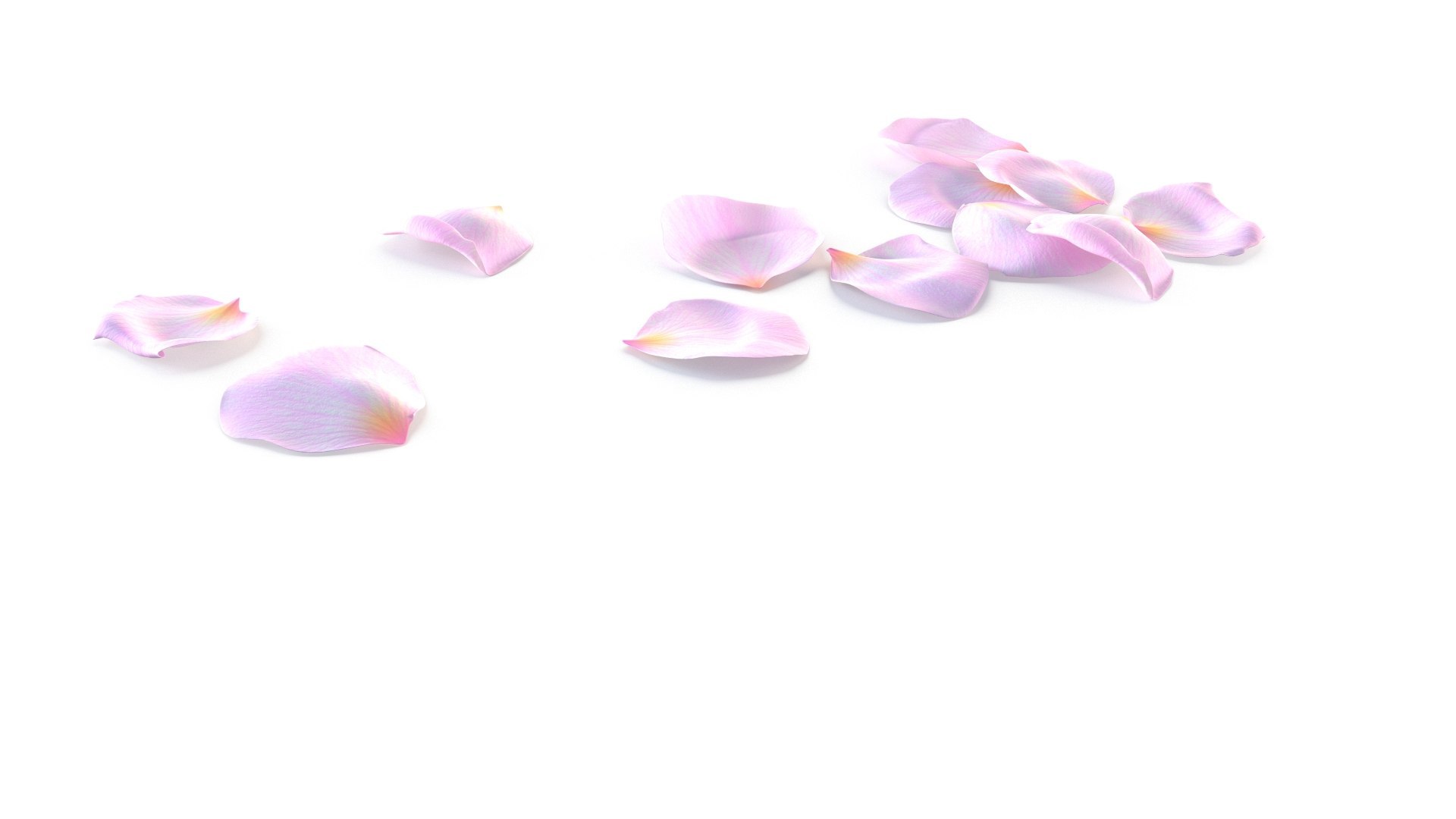 3D model Realistic Rose Petals 3D Models - High-Quality 4K PBR Asset https://p.turbosquid.com/ts-thumb/1k/H43tlh/CX/3/jpg/1755629382/1920x1080/fit_q87/a9678769499e2025b76bfd6347ede19c728e2e33/3.jpg