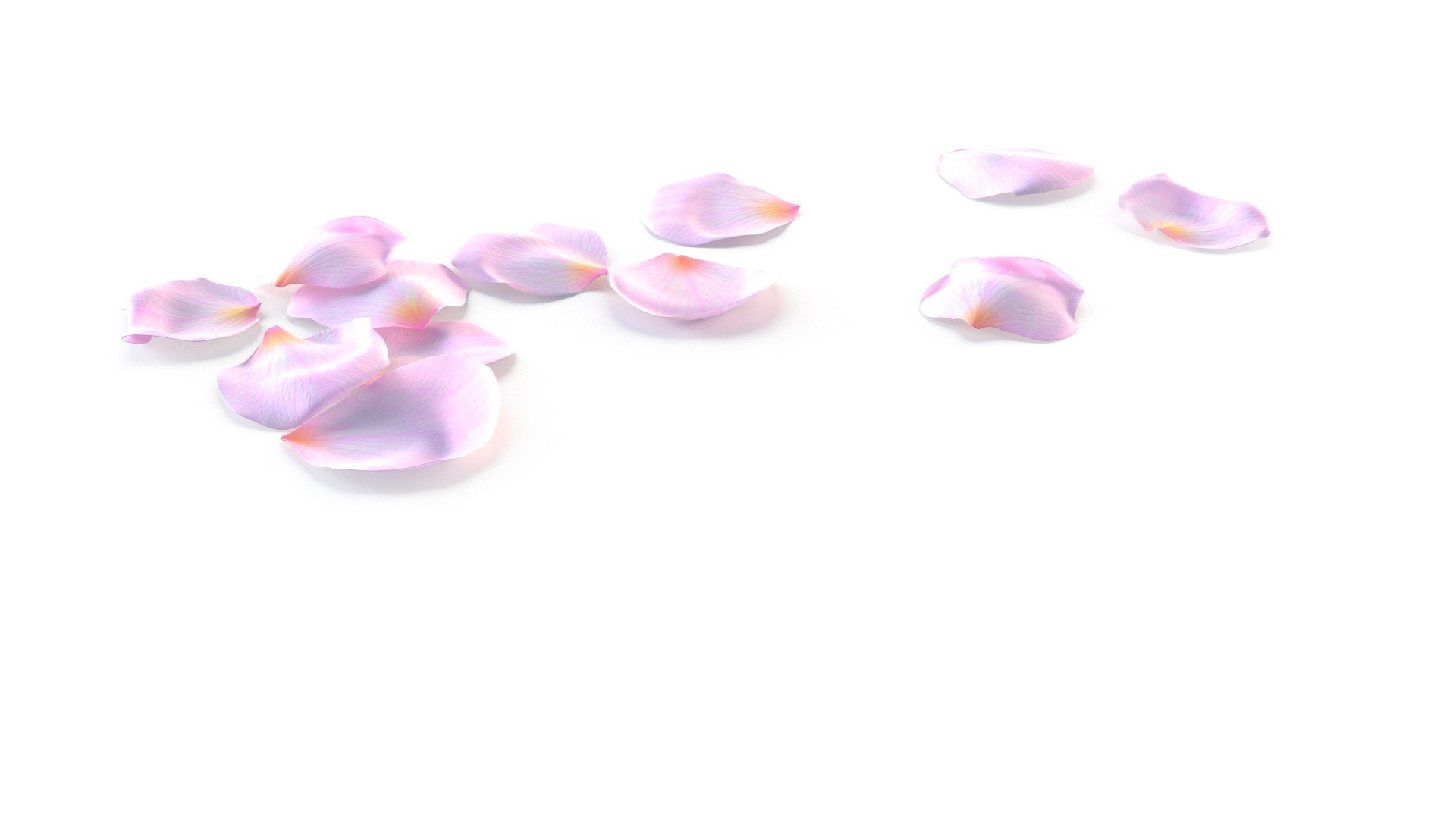 3D model Realistic Rose Petals 3D Models - High-Quality 4K PBR Asset https://p.turbosquid.com/ts-thumb/1k/H43tlh/EH/5/jpg/1755629383/1920x1080/fit_q87/10e236686ccf9b785abd911335fe91316558fe78/5.jpg