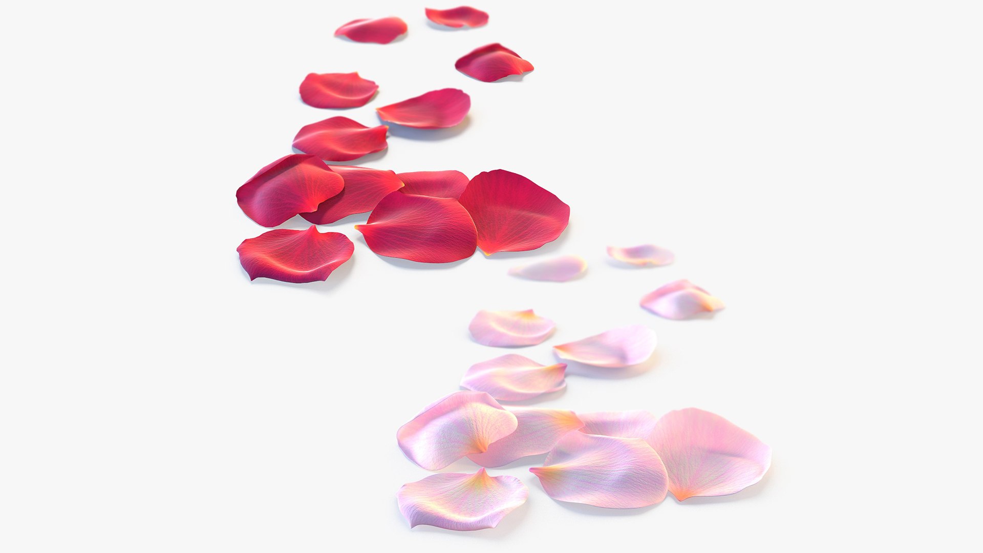 3D model Realistic Rose Petals 3D Models - High-Quality 4K PBR Asset https://p.turbosquid.com/ts-thumb/1k/H43tlh/hS/mm2/jpg/1755629325/1920x1080/fit_q87/ade235f35b618a9c92e49135050885405341f1d5/mm2.jpg