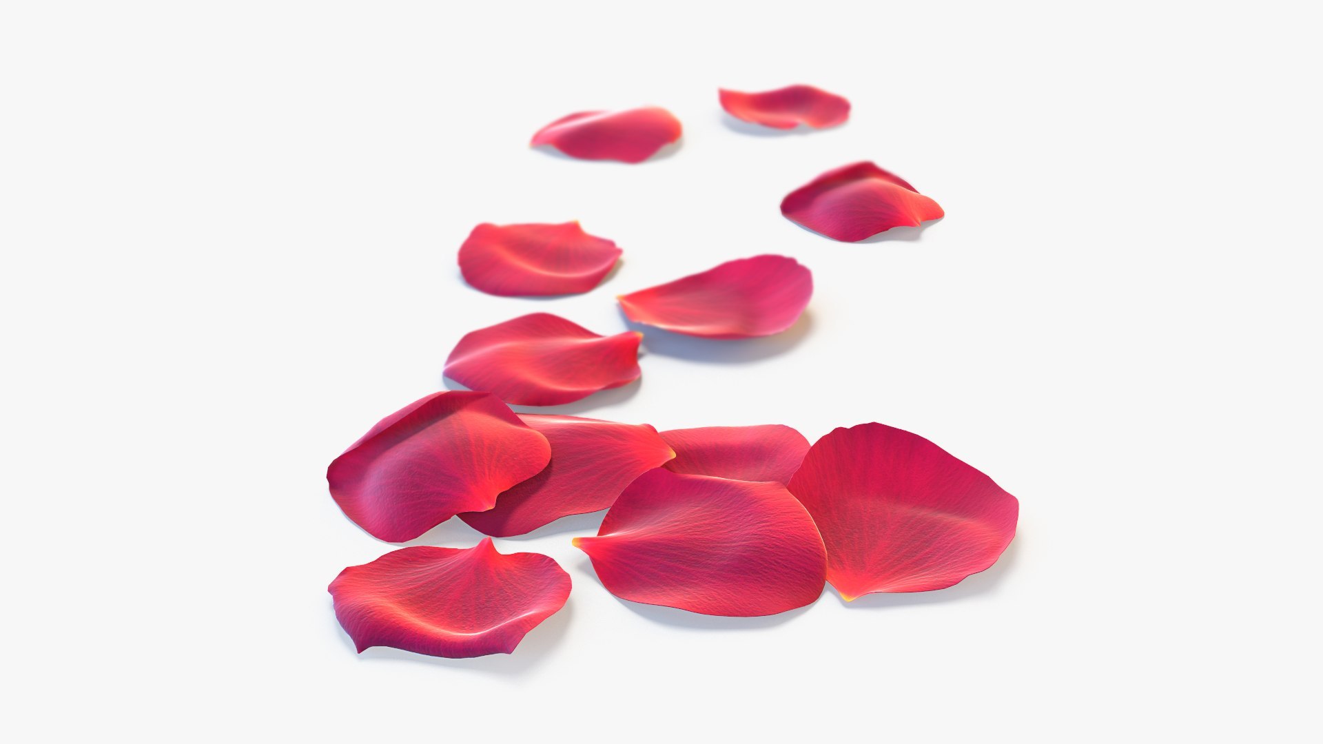 3D model Realistic Rose Petals 3D Models - High-Quality 4K PBR Asset https://p.turbosquid.com/ts-thumb/1k/H43tlh/ph/petals_1/jpg/1755629358/1920x1080/fit_q87/63b294002d8b32c1b32389f45aacb80678def9a5/petals_1.jpg