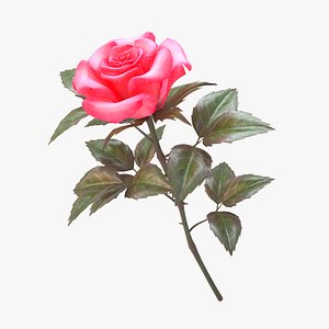 rose pink v 3 3d model