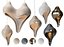 Luxury Chandeliers Mega Collection  Modern and Organic Styles