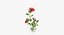 芙蓉收藏