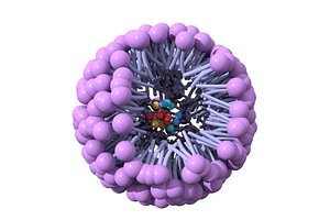 3D micelle surfactant molecules model