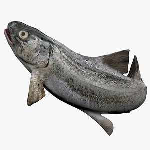 TROUT L1739 3D model