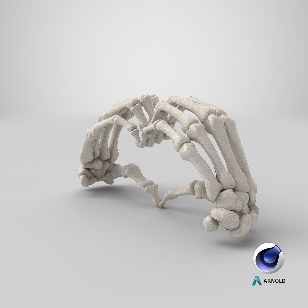 human hand bones white 3D https://p.turbosquid.com/ts-thumb/1k/ies14k/4h7pa0Dl/stemcell_cinema_4d_arnold_render/png/1605279764/1920x1080/fit_q87/59112d3ff0a9d2c452829eba65c84732a22fc418/stemcell_cinema_4d_arnold_render.jpg
