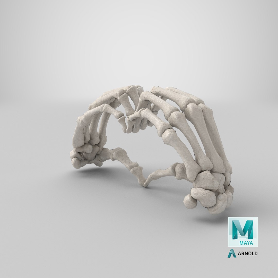 human hand bones white 3D https://p.turbosquid.com/ts-thumb/1k/ies14k/7X2OEr5w/stemcell_maya_arnold_render/png/1605279788/1920x1080/fit_q87/d4a633da39e305a0e6299d6208fa46b2937905ba/stemcell_maya_arnold_render.jpg