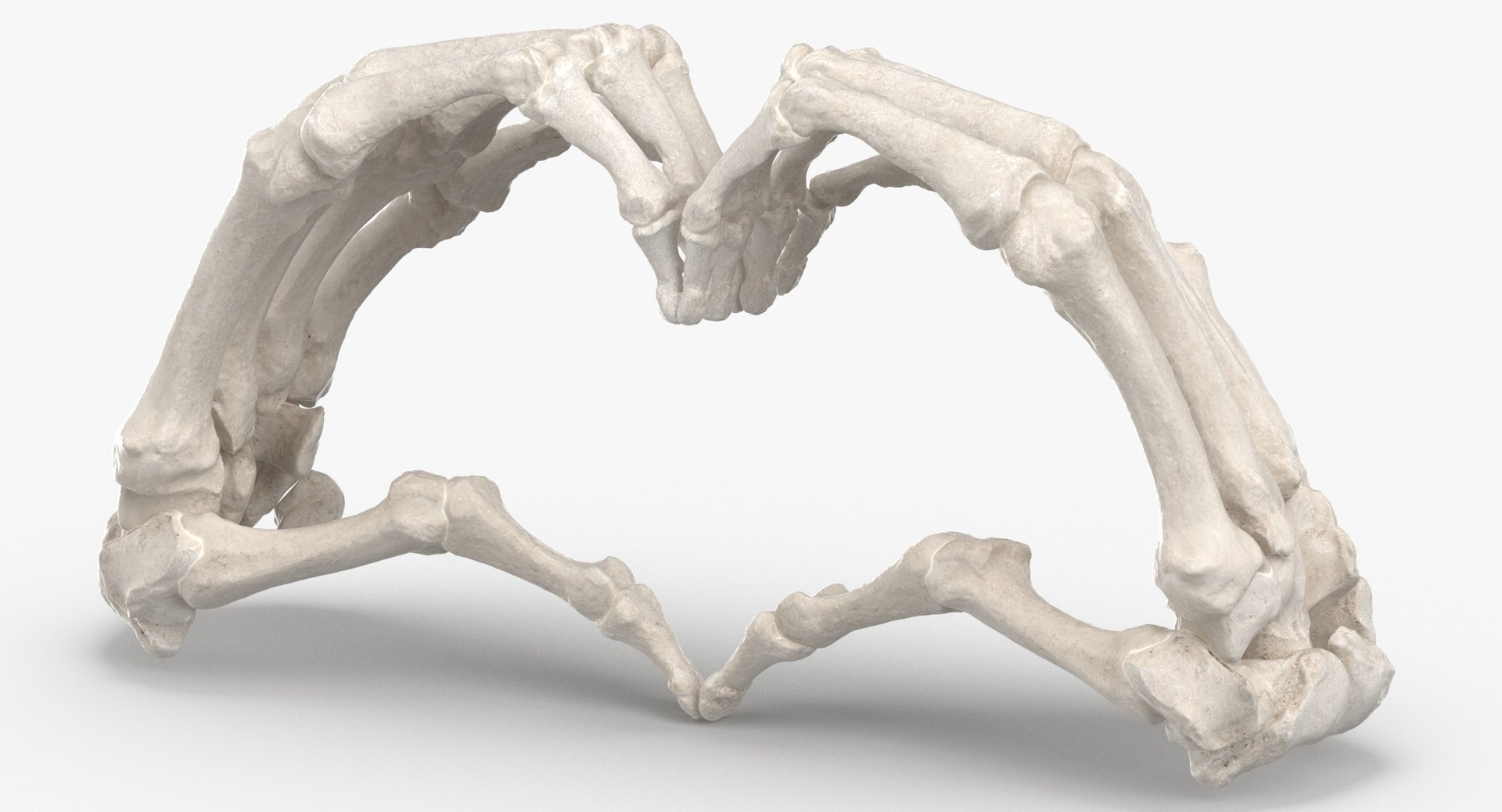 human hand bones white 3D https://p.turbosquid.com/ts-thumb/1k/ies14k/aQxsKcyL/human_hand_bones_heart_sign_01_thumbnail_0002/jpg/1597827143/1920x1080/fit_q87/70608d95ab2fd4051e77810f55adbe1cdc4f1c61/human_hand_bones_heart_sign_01_thumbnail_0002.jpg