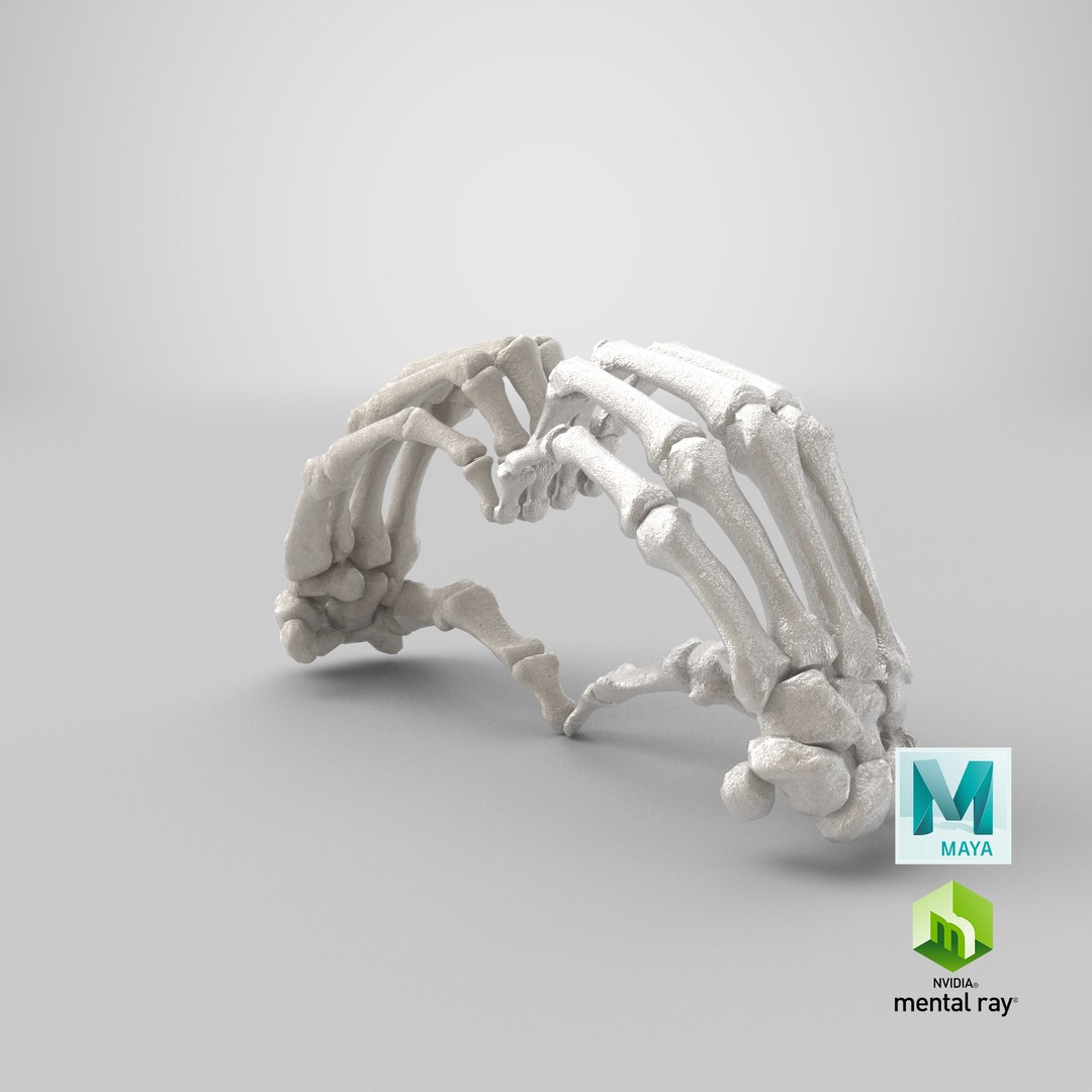 human hand bones white 3D https://p.turbosquid.com/ts-thumb/1k/ies14k/bKjs9ZDv/stemcell_maya_mental_ray_render/png/1605279797/1920x1080/fit_q87/4d0146f11c45589a0d430ed3bc6a93d84d20799c/stemcell_maya_mental_ray_render.jpg