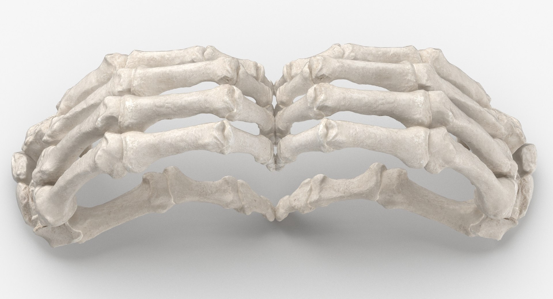 human hand bones white 3D https://p.turbosquid.com/ts-thumb/1k/ies14k/efIDHyVq/human_hand_bones_heart_sign_01_thumbnail_0005/jpg/1597827143/1920x1080/fit_q87/598504a90c5d91bf513bbc05a56c59cb4e95fc44/human_hand_bones_heart_sign_01_thumbnail_0005.jpg