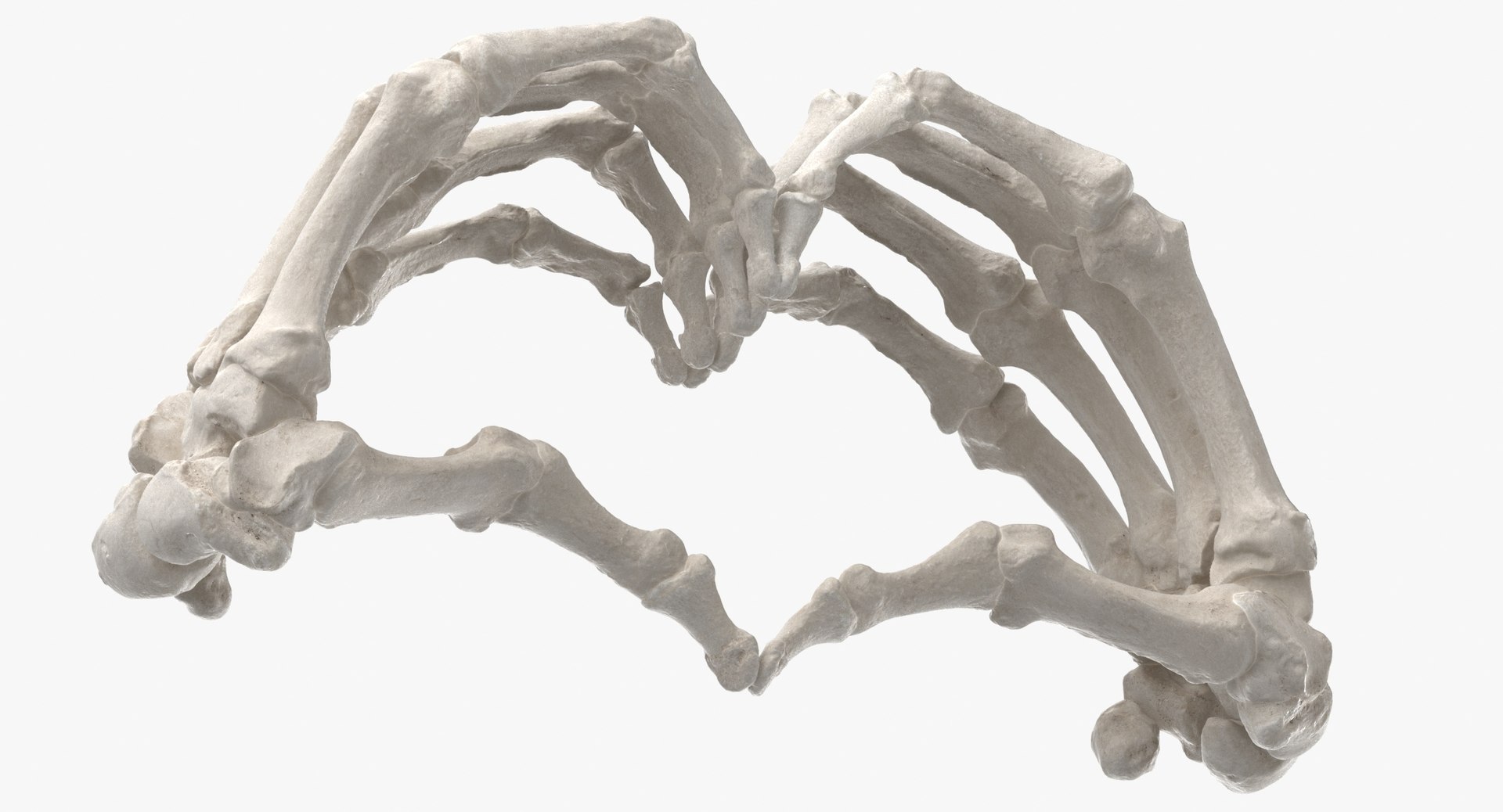 human hand bones white 3D https://p.turbosquid.com/ts-thumb/1k/ies14k/gdbxsVO0/human_hand_bones_heart_sign_01_thumbnail_0007/jpg/1597827143/1920x1080/fit_q87/d0a571bc38f4d6e08ffb6575f852a215f686a5e1/human_hand_bones_heart_sign_01_thumbnail_0007.jpg