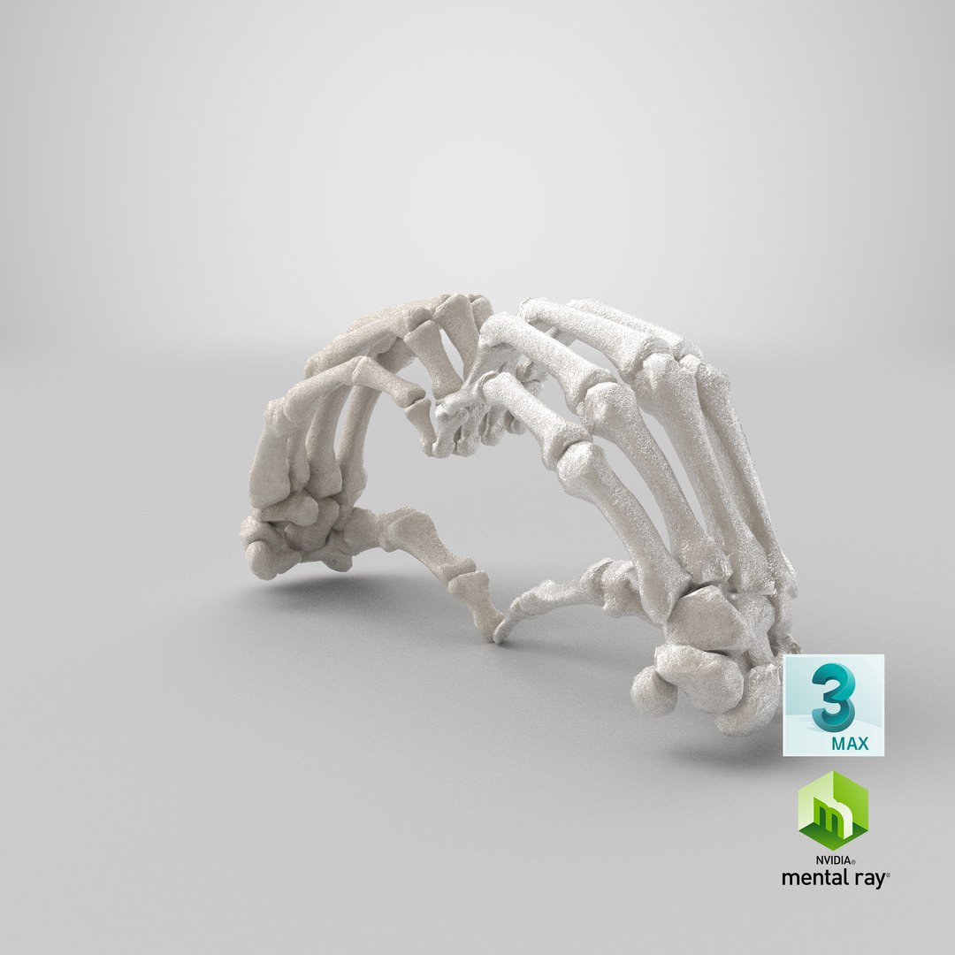 human hand bones white 3D https://p.turbosquid.com/ts-thumb/1k/ies14k/qWTQMjNK/stemcell_max_mental_ray_render/png/1605279775/1920x1080/fit_q87/f2e95673ae875f583f40a6f7483d99c5eab3c3f9/stemcell_max_mental_ray_render.jpg