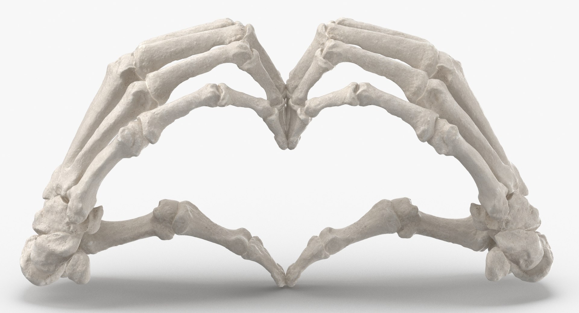 human hand bones white 3D https://p.turbosquid.com/ts-thumb/1k/ies14k/rWg3ZxYe/human_hand_bones_heart_sign_01_thumbnail_0004/jpg/1597827143/1920x1080/fit_q87/fc70ed162fd61e52d90087c0e7bda324773bc0dd/human_hand_bones_heart_sign_01_thumbnail_0004.jpg