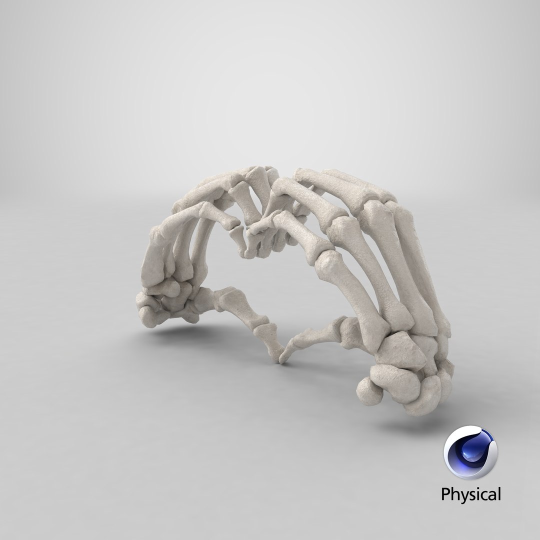 human hand bones white 3D https://p.turbosquid.com/ts-thumb/1k/ies14k/rZeaX0on/stemcell_cinema_4d_physical_render/png/1605279761/1920x1080/fit_q87/ff27f5f1b1c8f8161a3b3e521df5d8b23a0658e8/stemcell_cinema_4d_physical_render.jpg