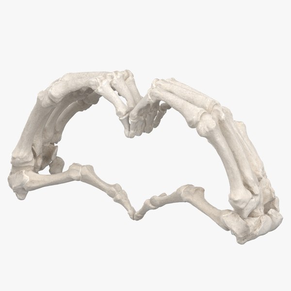 human_hand_bones_heart_sign_01_square_0000.jpg