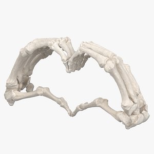 Real Human Hand Bones White Heart Sign