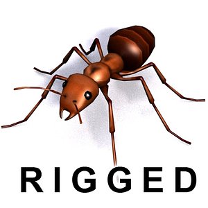 3d model rigged ant