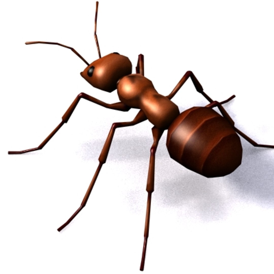 3d model rigged ant https://p.turbosquid.com/ts-thumb/1k/n4VDjV/awxIbDhX/ant_v2/jpg/1265393874/1920x1080/fit_q87/1a58f3e36a2bf2823ff931d3ebf6627f48cffb67/ant_v2.jpg