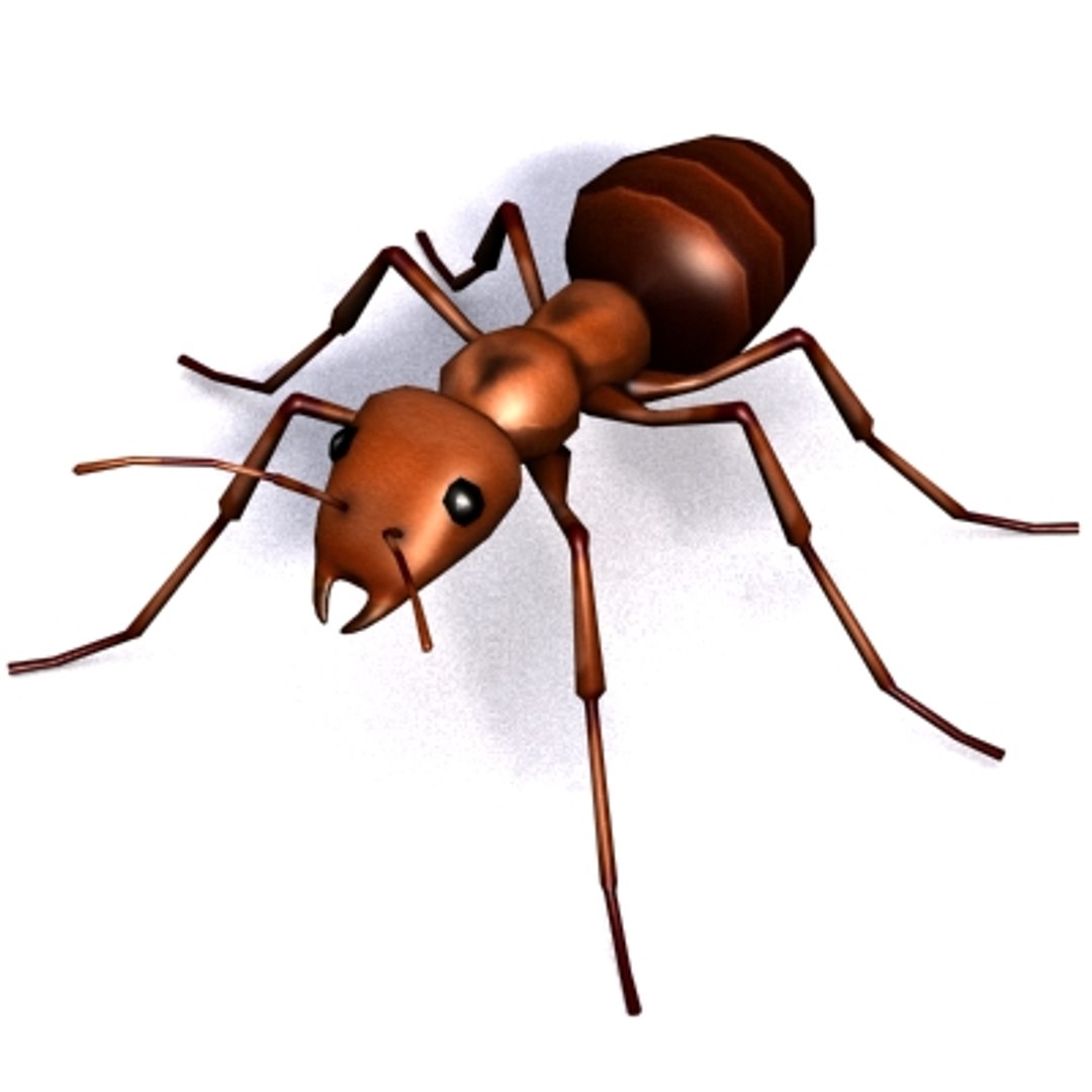 3d model rigged ant https://p.turbosquid.com/ts-thumb/1k/n4VDjV/iJ0YyEOm/ant_v1/jpg/1265393874/1920x1080/fit_q87/e177a79556378f92794f909adaa5829853a05d29/ant_v1.jpg