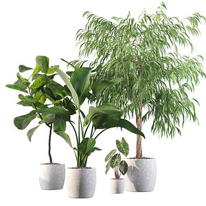 Plants collection 113 3D model
