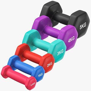 Dumbbell Set 01