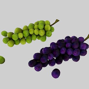 grape model