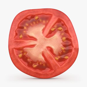 Tomato Slice 3D model