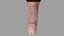 Male Genitals Penis
