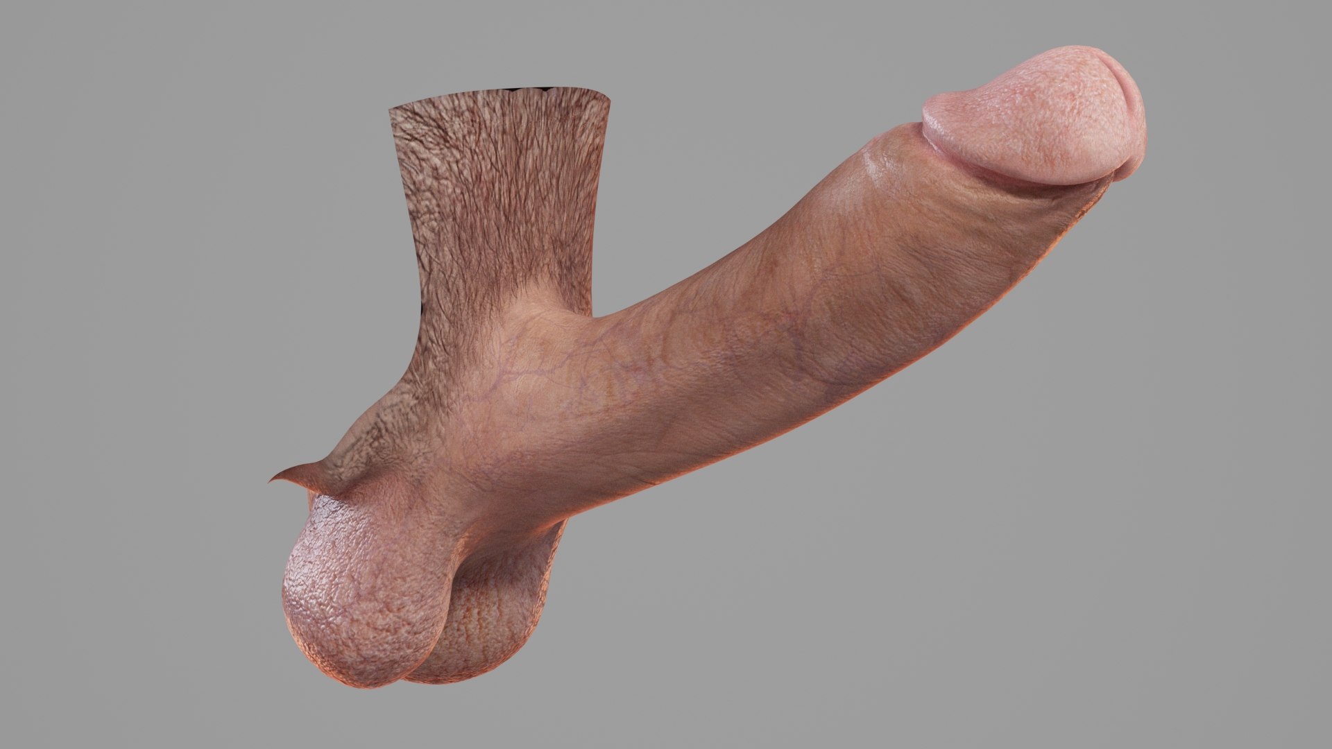 3d penis