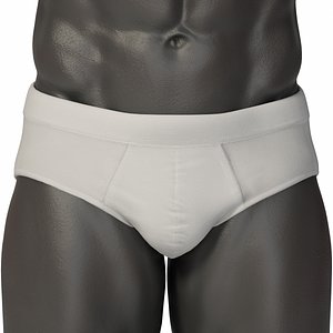 Male Genitals Penis