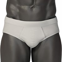 Male Genitals Penis