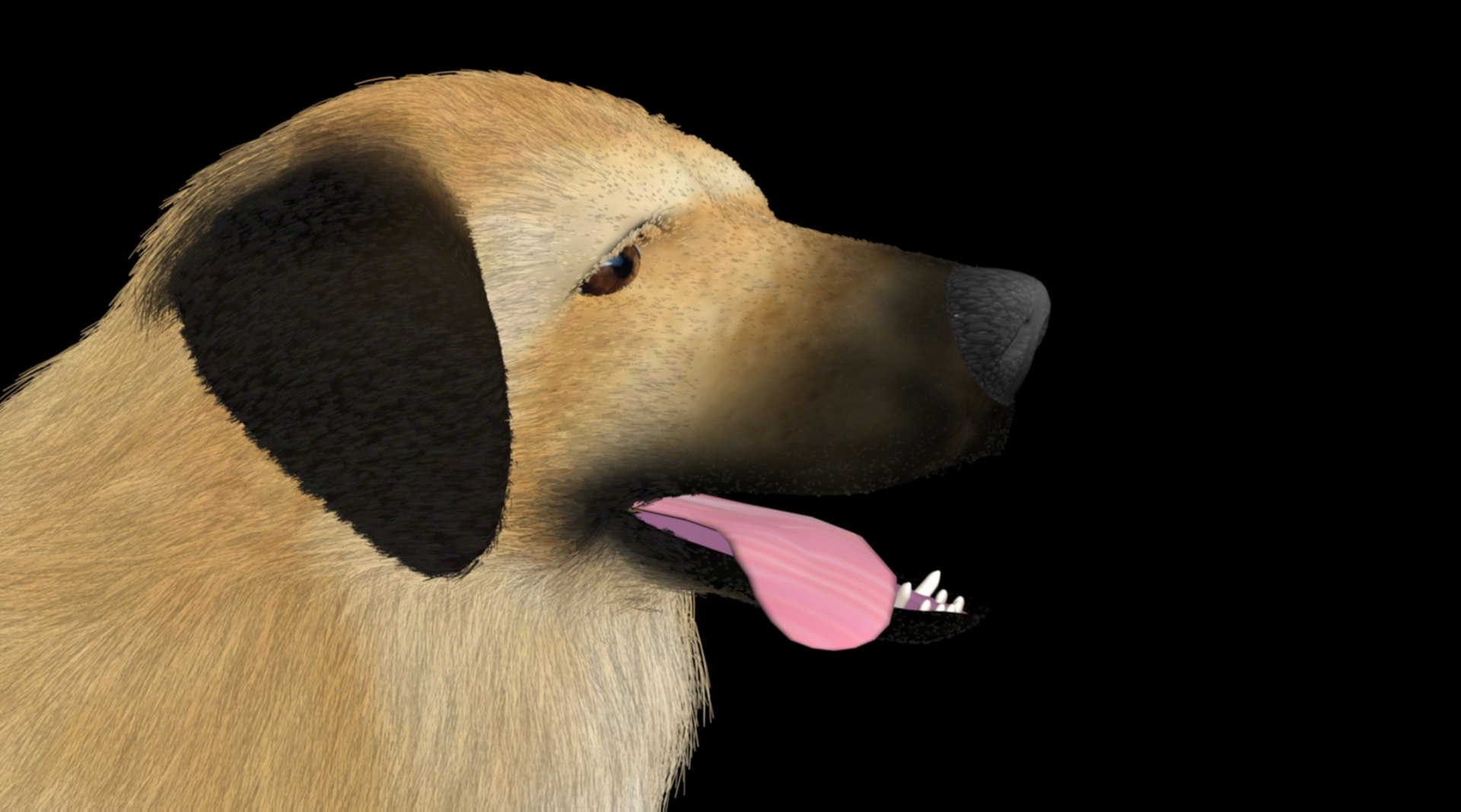 kangal shepherd  dog 3D model https://p.turbosquid.com/ts-thumb/1l/PJNQi3/Kb/5/jpg/1707264685/1920x1080/fit_q87/f0e84b21500c24f880c36358c890680c3ba6fa86/5.jpg