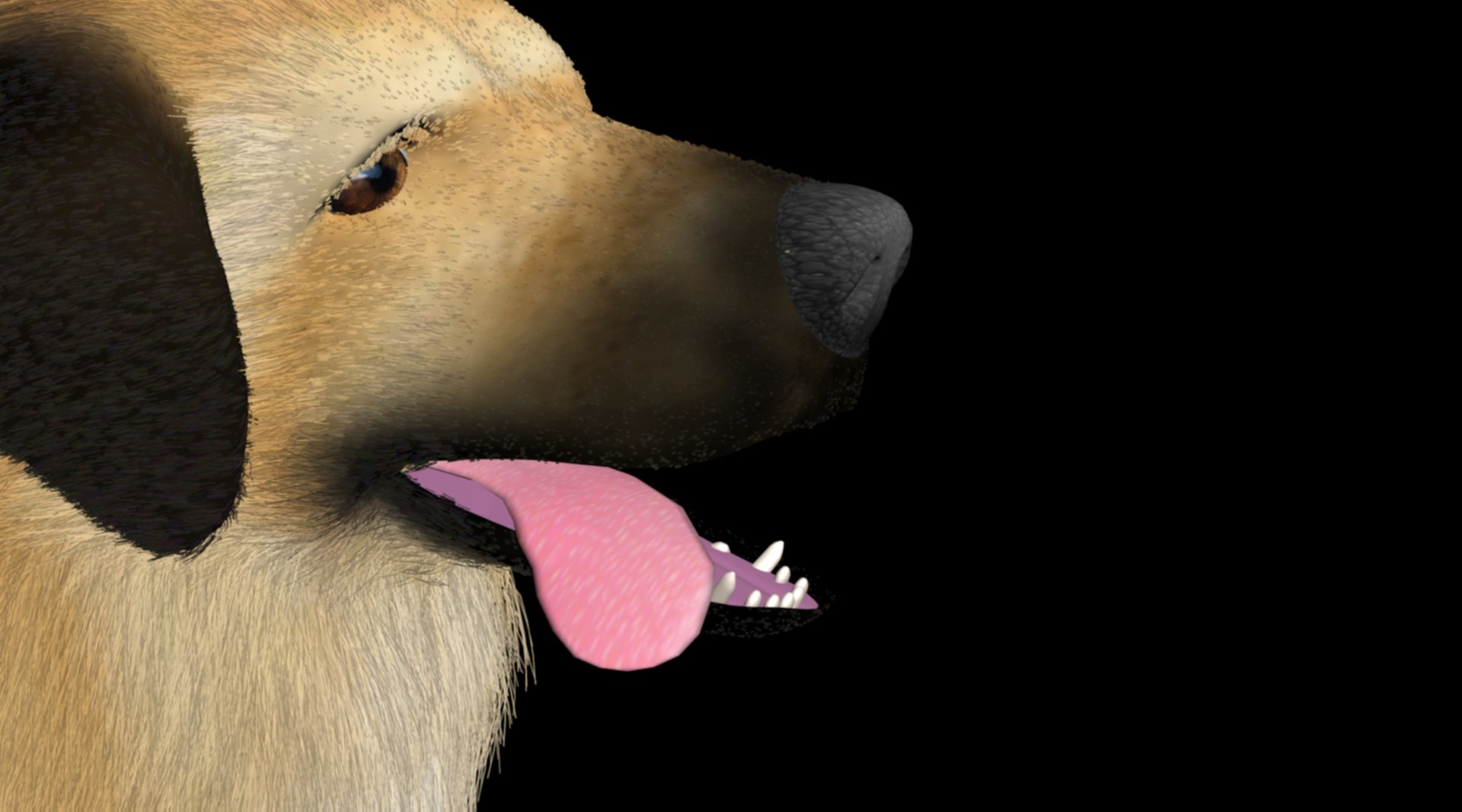 kangal shepherd  dog 3D model https://p.turbosquid.com/ts-thumb/1l/PJNQi3/Zb/6/jpg/1707264687/1920x1080/fit_q87/23f4af681f954f3db0c083910031aa0444efa7ca/6.jpg