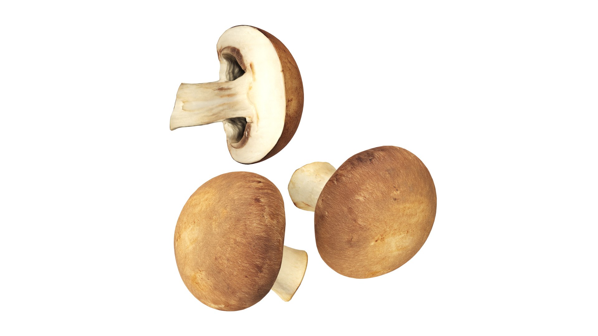 3D model Brown cap mushrooms https://p.turbosquid.com/ts-thumb/1l/WbDeui/SU/006/jpg/1739799439/1920x1080/fit_q87/62999449f91411eaa11be14f865bdd58b59170c6/006.jpg