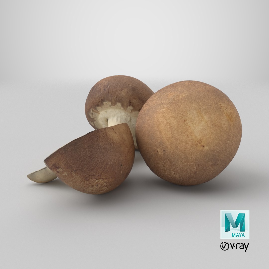 3D model Brown cap mushrooms https://p.turbosquid.com/ts-thumb/1l/WbDeui/TI/stemcell_maya_vray_render/png/1739893691/1920x1080/fit_q87/823192a0673f294b639fefedfc3344e17f163b9e/stemcell_maya_vray_render.jpg